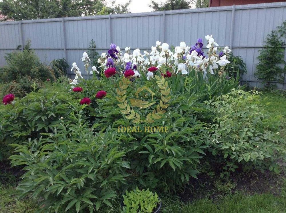 Продаж Будинок 4-кімнатний на Садовая 100-я ул., 5 Киев - изображение 9