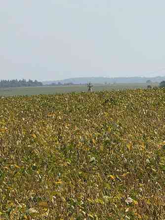 Продаж земельної ділянки 44 соток Кротошин