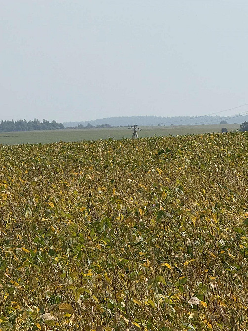 Продаж земельної ділянки 44 соток Кротошин - фото 2