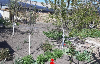 Продаж земельної ділянки 0.3 соток на переулок Красный, 15 Великая Балка - изображение 16