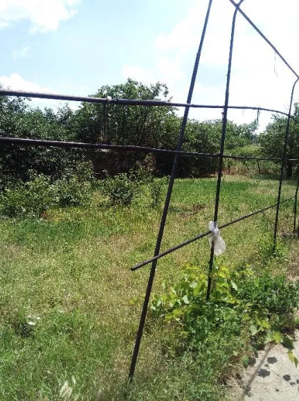 Продам дом в с.Выгода (Беляевский р-н, 35 км от Одессы) Вигода - фото 2