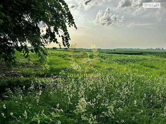 ПРОДАМ БУДИНОК В ГРЕБІНКАХ 