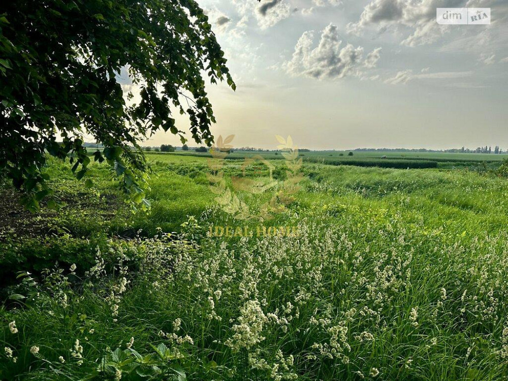 ПРОДАМ БУДИНОК В ГРЕБІНКАХ  - фото 5