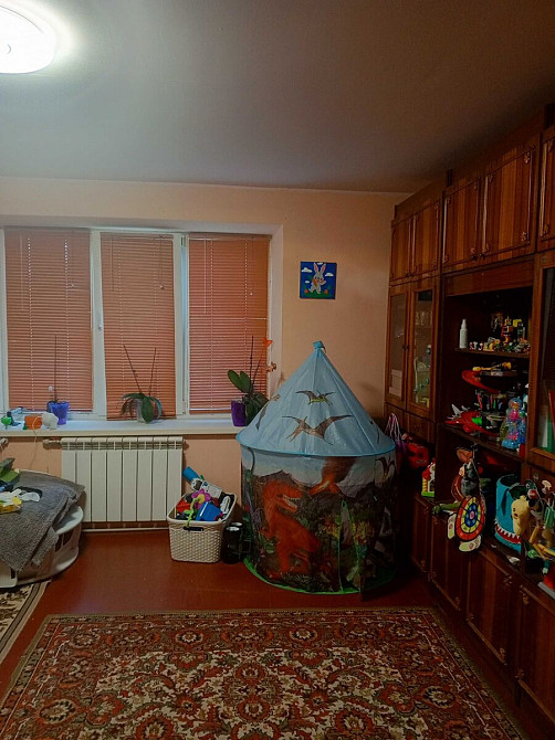 Продам 2-кімнатну квартиру з ділянкою та гаражем у с. Соколівське. Кропивницький - фото 11