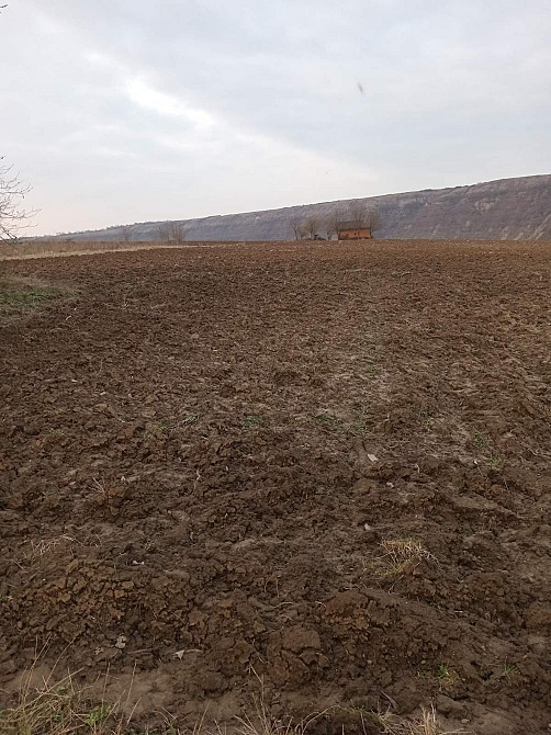 Продаж Будинок на Коновальця  - photo 10