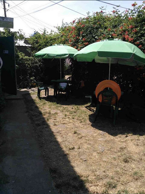 Дача в Затоке. Затока - изображение 15