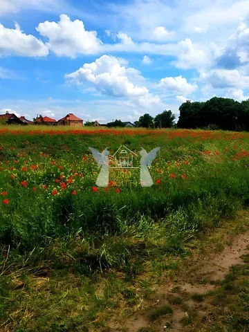 Продажа земельного участка  площадь 26 сот Тернопільська вулиця  - изображение 10