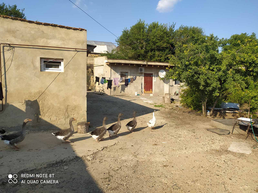 Предлагается к продаже частный дом с готовым бизнесом (действующим фермерским хозяйством) Нерубайське - фото 12