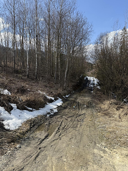 Продаж земельної ділянки 95 соток на вул. Шевченка  - photo 15