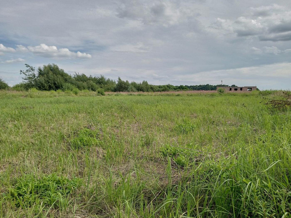 Продаж земельної ділянки 8 соток на вул. Стуса Пидрясне - изображение 9