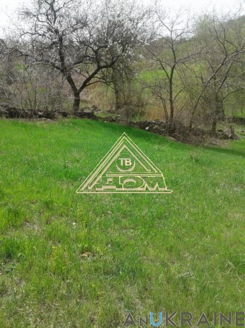 Продаж земельної ділянки 0.2 соток на ул. Ломана, 2в Усатове - фото 4