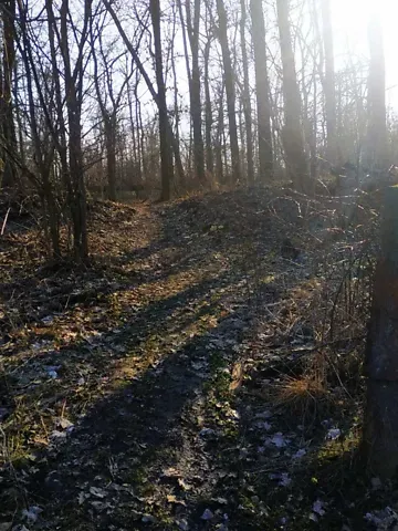 For sale land plot  area 6 ares Зелена вулиця  - photo 18