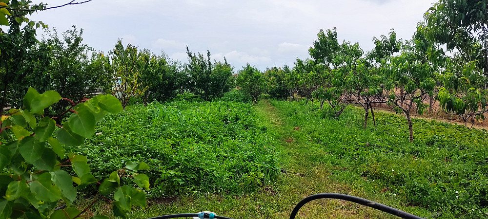 Продается дом с. Маяки. Маяки (Біляївський район) - фото 8