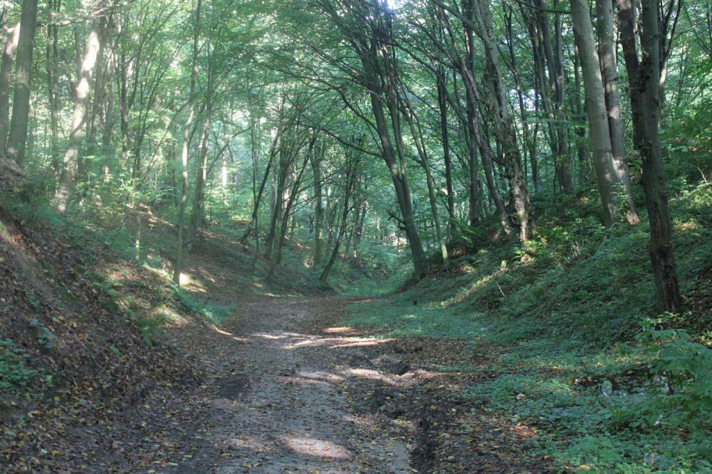 Продаж Будинок 3-кімнатний на вул. Яблунева Бирки (Жовкивський район) - изображение 16