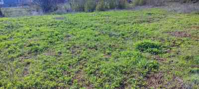 Продаж земельної ділянки 0 соток на Витамин, 394-396 Нерубайське