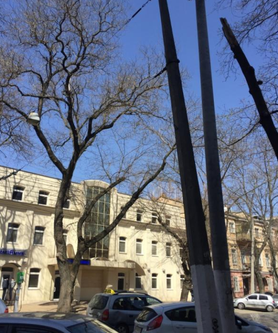 Продам 3-х комн. квартира ул. Л. Толстого Одесса - изображение 9