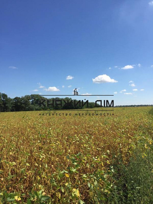 Продаж земельної ділянки 60 соток на М. Михайлюка, 45  - фото 8