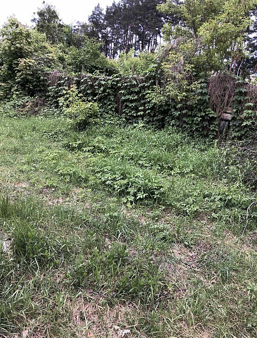 Продаж земельної ділянки 17 соток на Гуйва Житомир - фото 1