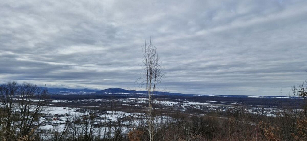 Продаж земельної ділянки 29 соток Жураки - фото 4