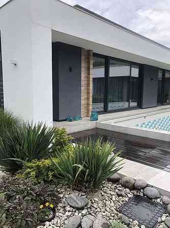 Сосновый берег Фонтанка