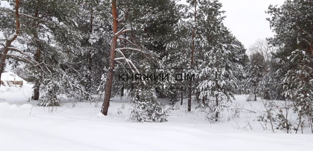 Продажа нового дома в с. Осещина КГ Синевир Вышгородский р-н. № 2210752 Осещина - фото 3