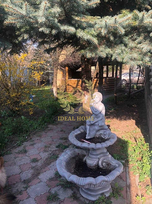 Продам будинок с.Калиновка (с.Дешки) Богуславский р Калинівка (Богуславський район) - фото 14