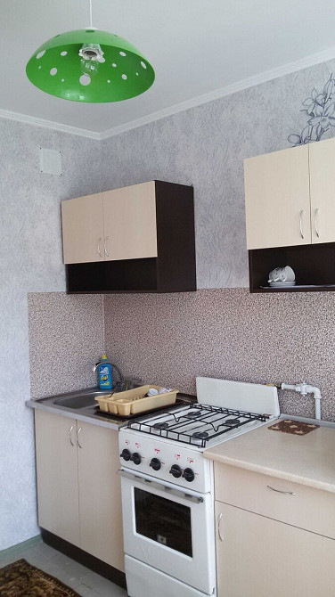 Оренда Квартира 1-кімнатна, 9/9 поверх на Мокра, 4 Київ - фото 8