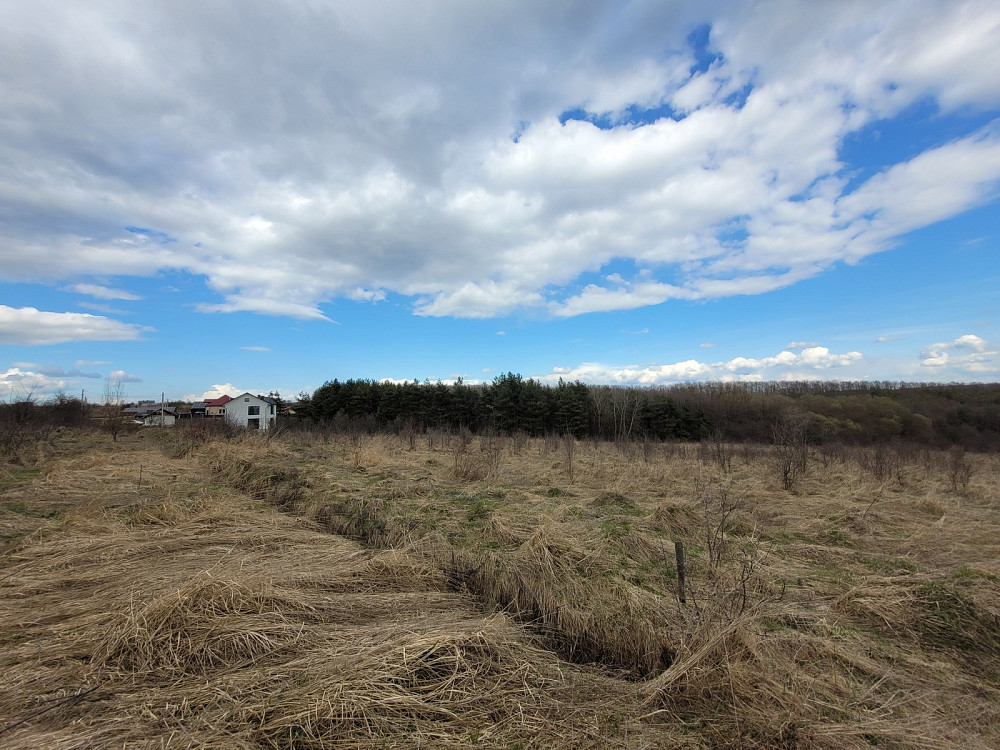 Продаж земельної ділянки 1.87 га Kolodiivka - photo 9