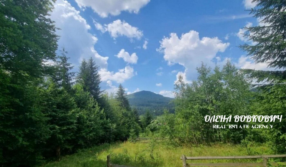 Продаж земельної ділянки 46 соток Міжгір'я - фото 1