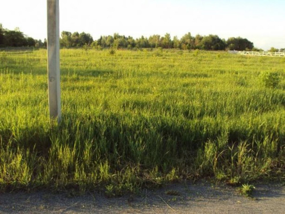 Продаж земельної ділянки 15 соток  - фото 2