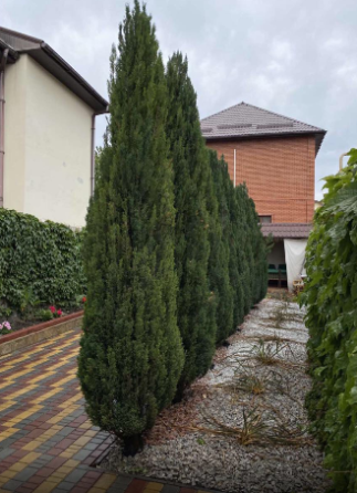 Одноэтажный дом на Чубаевке. Одеса