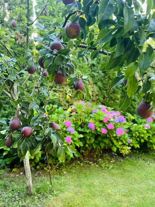 Продам дачу / будинок 100 м² у Підгірцях  - фото 13