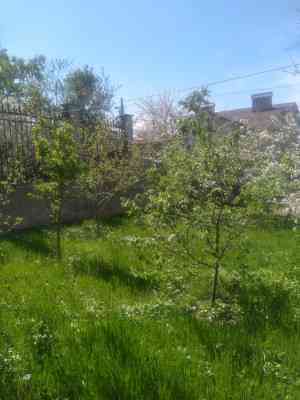 Продаж земельної ділянки 0 соток на ул. Дубовая роща, 28 Odessa