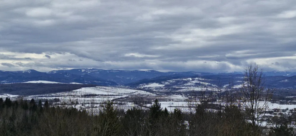 Продаж земельної ділянки 29 соток Жураки - фото 1