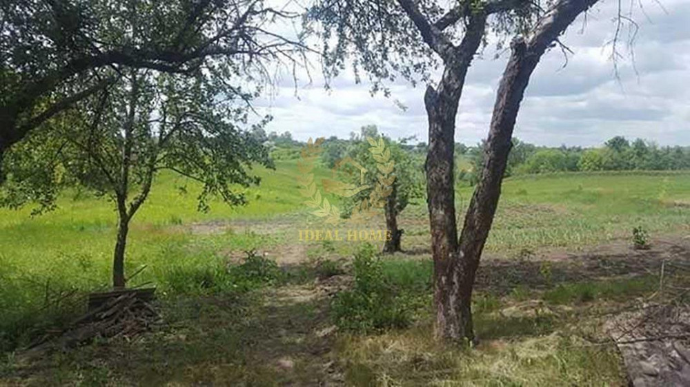 Продам будинок в Бендюгівці Bendiuhivka - photo 8