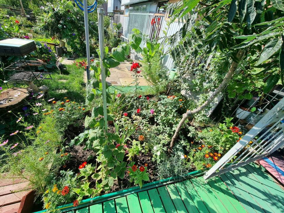 Продаж 1-поверховий Дача  30 кв.м 2 кімн. на вул. Берегова, 1 Черкаси - фото 14