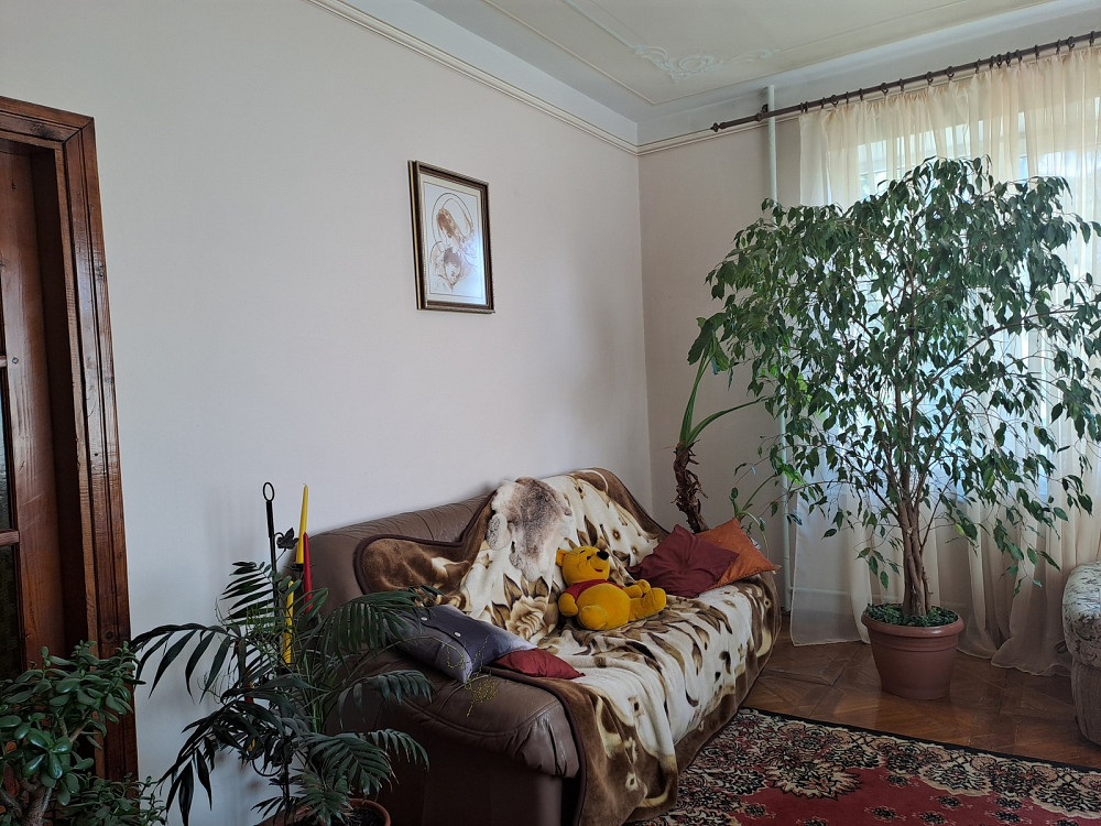 Продаж. Будинок. Тернопільський район,с.Петриків  - фото 19