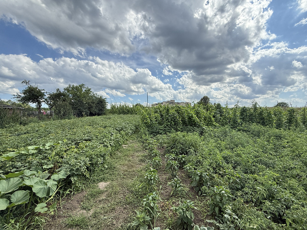 Продається будинок Тернопільський район, с.Байківці. Байківці - фото 19