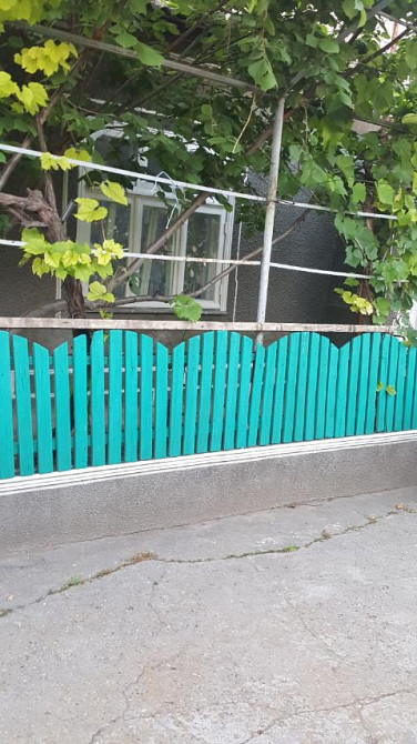 Капитальный дом  в с. Петровка Мала Петрівка - фото 1