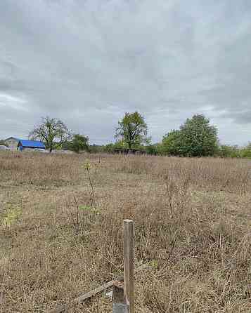 Продаж земельної ділянки 36 соток на Левків Житомир