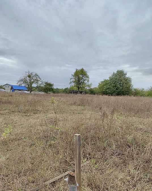 Продаж земельної ділянки 36 соток на Левків Житомир - изображение 2