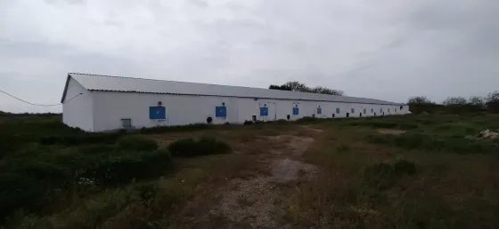 Продаж Виробниче або промислове приміщення площа 3070 кв.м 1-й поверх на MMGR+9F, Петриківський район, Дніпропетровська область, 51830 Лобойківка