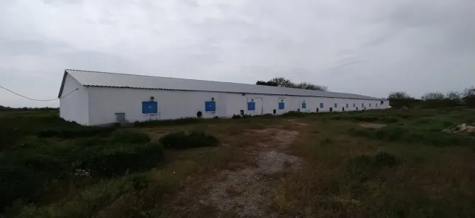 Продаж Виробниче або промислове приміщення площа 3070 кв.м 1-й поверх на MMGR+9F, Петриківський район, Дніпропетровська область, 51830 Лобойківка - фото 2