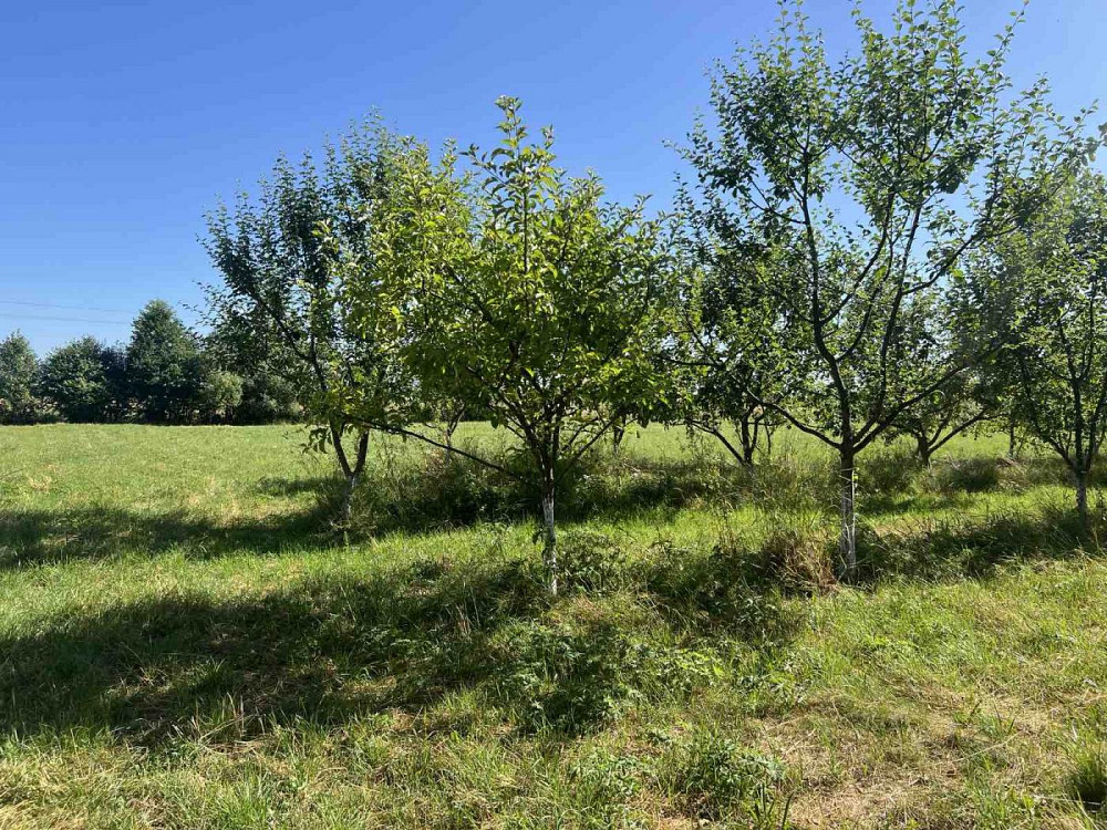 Продаж Квартира на улица Туради - изображение 1