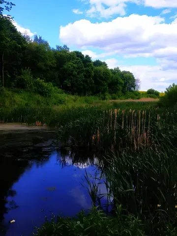 For sale land plot  area 13 ares Миру вулиця  - photo 11