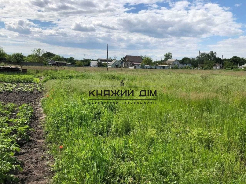 Продаж 1-поверховий Будинок з ділянкою 29 сот 119 кв.м    - фото 20