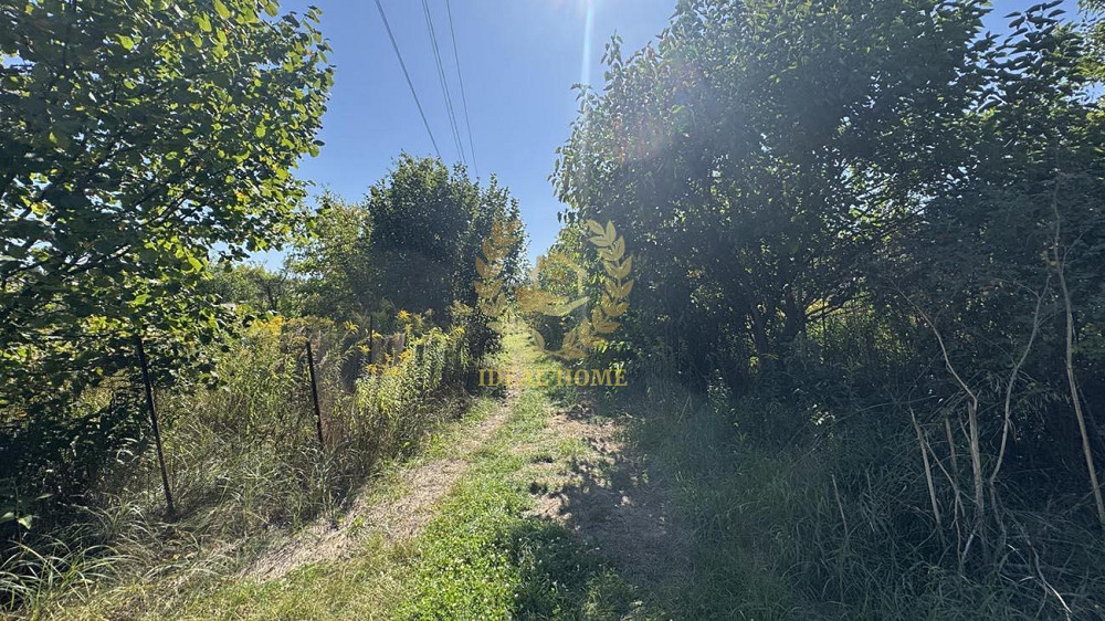 Продаж земельної ділянки 9.46 соток на Мира ул. Федорівка (Іванківський район) - фото 7