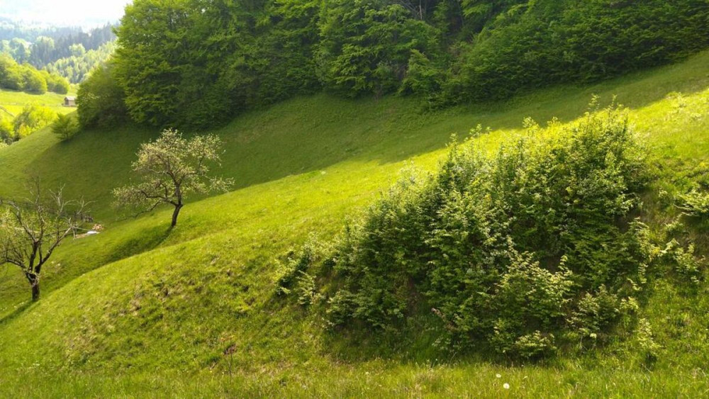 Продаж Будинок Болехів - фото 3