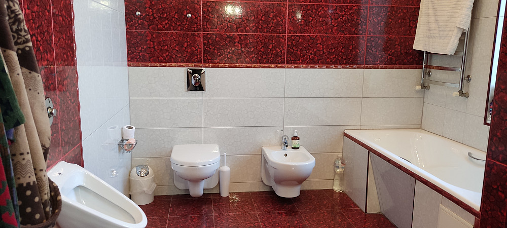 Прдается дом с. Нерубайское (НАТИ) Нерубайське - фото 17