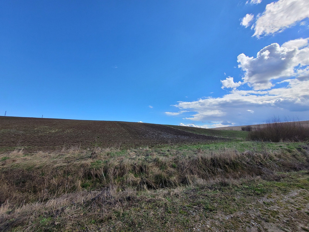 Продаж земельної ділянки 3.76 га Kolodiivka - photo 6